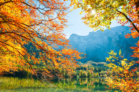 Autumn trees with colorful leaves on the shore of lake in Austrian Alps.の写真素材