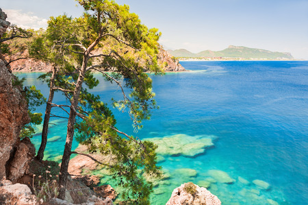 Sea coast with turquiose water and pines near Kemer, Turkey. Beautiful summer landscapeの写真素材
