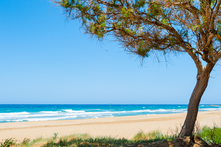 Beautiful beach with turquoise water, white sand and trees on Crete island, Greece.の写真素材