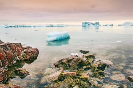 Icebergs on the shore of Atlantic ocean, Saqqaq village, western Greenlandの写真素材