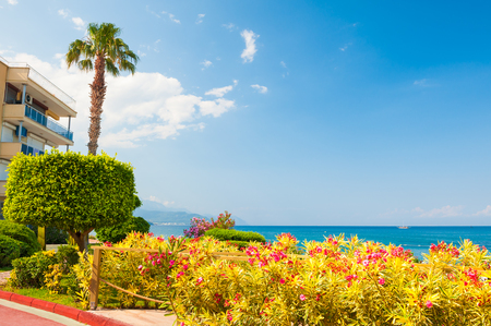 Beautiful sea promenade with flowers in Kemer, Turkey. Summer landscapeの写真素材