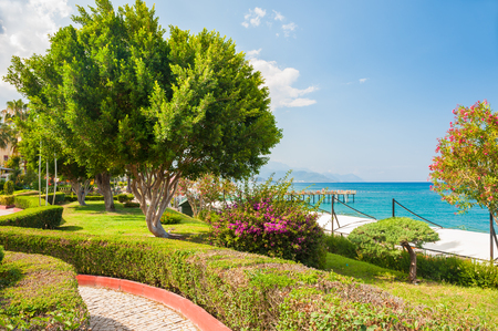 Beautiful sea promenade with trees in Kemer, Turkey. Summer landscapeの写真素材