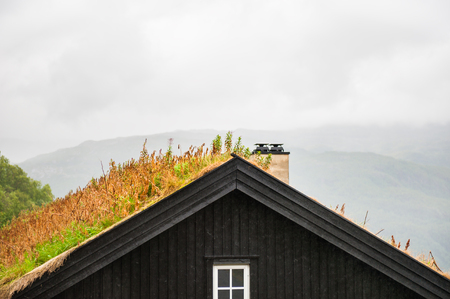Traditional norwegian wooden house with grass roof. Summer landscape, Norwayの写真素材