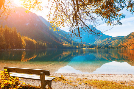 Bench under the tree on the shore of Vorderer Langbathsee lake in Alps mountains, Austriaの写真素材