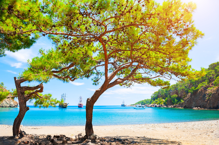 Beautiful beach with turquoise water and pines. "Paradise bay" near Kemer, Turkeyの写真素材