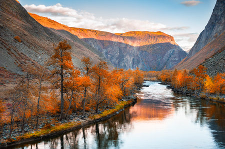 River in mountain gorge at sunset, autumn landscape. Chulyshman river, Altai Republic, Siberia, Russiaの写真素材