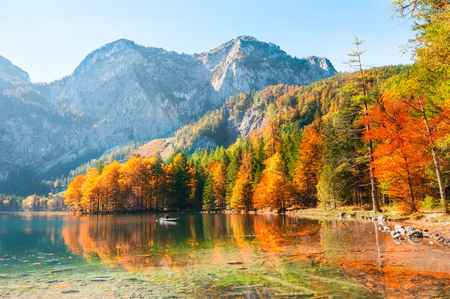 Autumn trees on the shore of Hinterer Langbathsee lake in Alps mountains, Austria.の写真素材