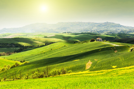 Beautiful summer landscapes in Tuscany, Italy.の写真素材