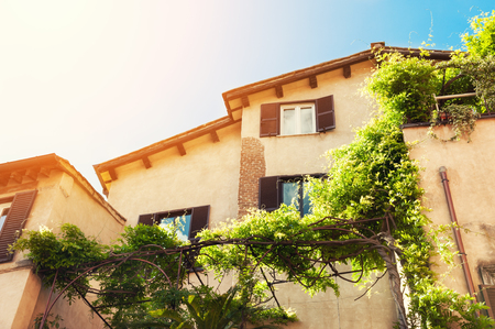 Decorative green trees on the facade of the house in Rome, Italy.の写真素材