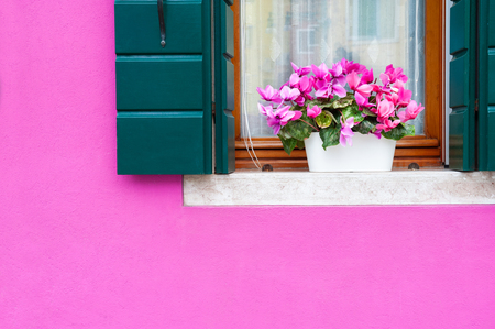 Pink wall of the house and window with pink flowers. Colorful architecture in Burano island, Venice, Italy.の写真素材