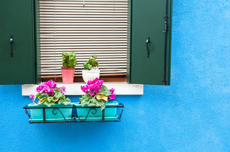 Blue wall of the house and window with pink flowers. Colorful architecture in Burano island, Venice, Italy.の写真素材