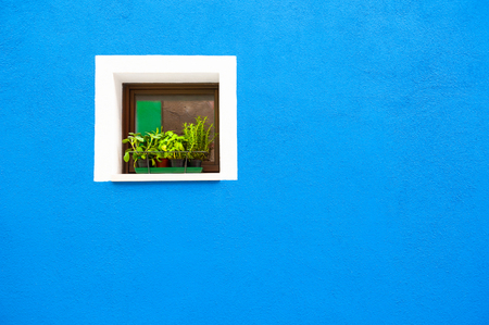 Window with flowers on the blue wall. Colorful architecture in Burano island, Venice, Italy.の写真素材