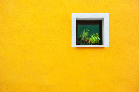 Window with flowers on the yellow wall. Colorful architecture in Burano island, Venice, Italy.の写真素材