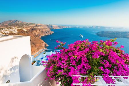 Tree with pink flowers on the terrace with sea view. Panoramic view of Santorini island, Greece.の写真素材