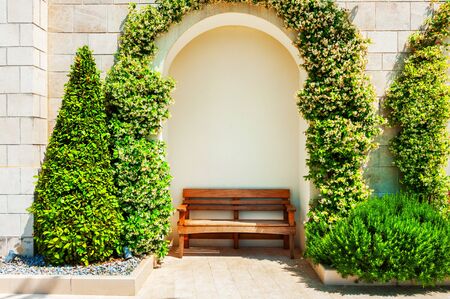 Wooden bench under the green plants in the park. Summer nature backgroundの写真素材