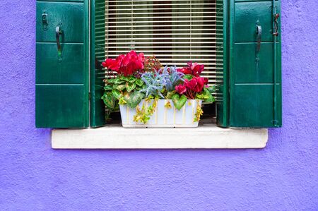 Window with flowers on the violet wall. Colorful architecture in Burano island, Venice, Italy.の写真素材