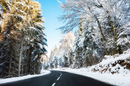 Winter road with snow-covered trees in Alps mountains, France. Beautiful winter landscapeの写真素材