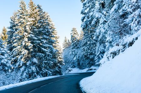Winter road with snow-covered trees in Alps mountains, France. Beautiful winter landscapeの写真素材