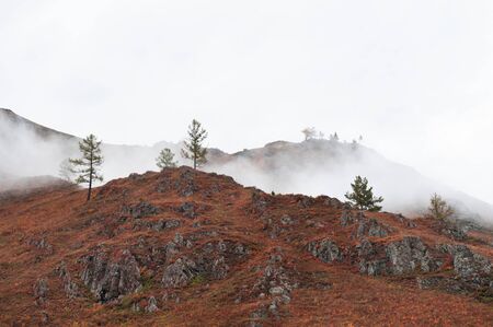 Autumn mountains in the morning fog. Altai, Siberia, Russiaの写真素材