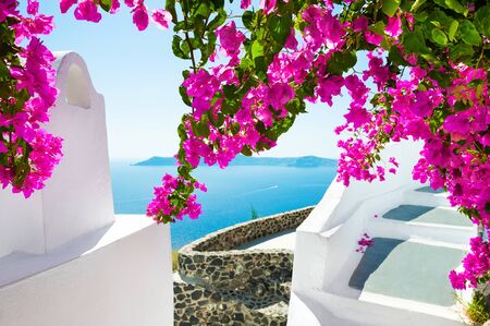 White architecture and pink flowers with sea view. Santorini island, Greece.の写真素材