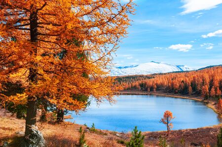 Kidelu lake in Altai mountains, Siberia, Russia. Beautiful autumn landscape.の写真素材