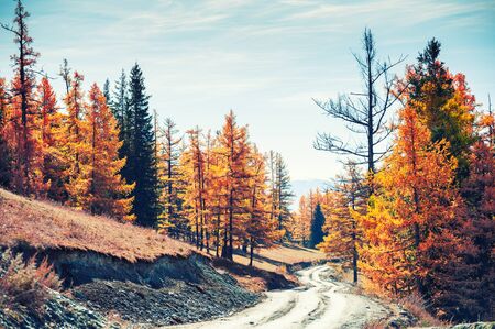 Road in the autumn mountains. Ulagan highlands in Altai, Siberia, Russia. Autumn landscapeの写真素材