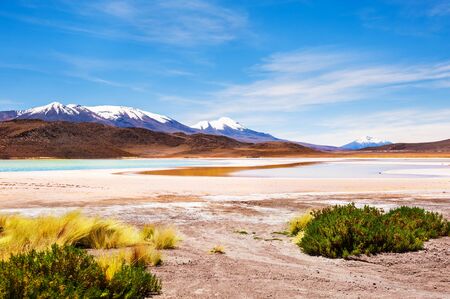 High-altitude lagoon in Altiplano plateau, Bolivia. South America landscapesの写真素材
