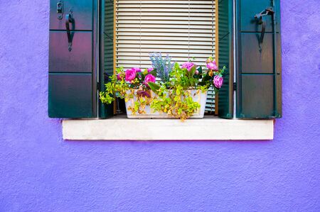Window with flowers on the violet facade of the house. Colorful architecture in Burano island, Venice, Italy.の写真素材