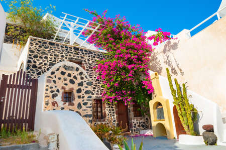 Traditional greek architecture and garden with flowers on Santorini island, Greece.のeditorial素材