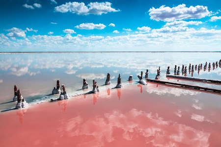 Pink salt lake and sky with white clouds reflected in the water sueface. Salt industry on Sasyk-Sivash salt lake in Crimea. Summer landscapeの写真素材