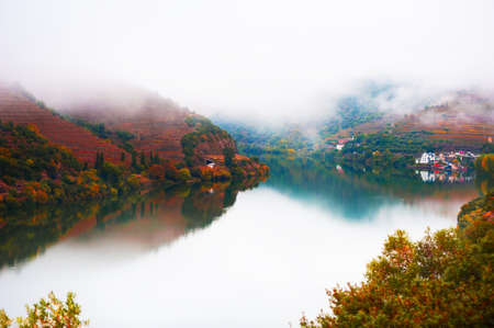Douro river valley in Portugal. Misty morning, vineyards on the mountains and their reflections in the water. Portuguese wine region. Beautiful autumn landscapeの写真素材