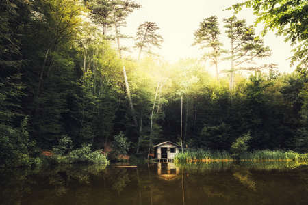 Lake in the forest at sunset. Small wooden house on the shore of lake. Beautiful summer landscape.の写真素材