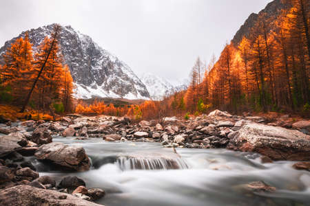 Autumn landscape of Aktru gorge in Altai mountains. Siberia, Russia. View of Karatash mount and river. Long exposure shot. Fall sceneryの写真素材