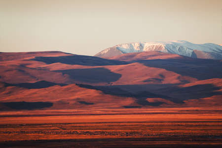 Snow-covered mountain peaks and yellow hills at sunrise. Autumn landscape of Kurai steppe in Altai, Siberia, Russia.の写真素材