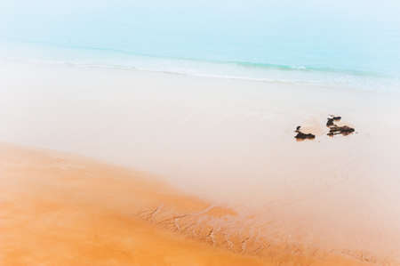 Sandy beach with turquoise water in misty morning. Beautiful shore of Atlantic ocean in Algarve, Portugal.の写真素材