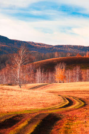 Road in the autumn forest. Beautiful autumn landscape. Bashkortostan, South Ural, Russiaの写真素材