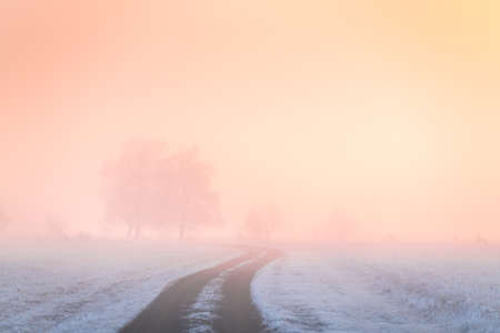 Misty sunrise in the winter forest. Trees with hoarfrost in the foggy morning. Beautiful winter landscape. South Ural, Russiaの写真素材