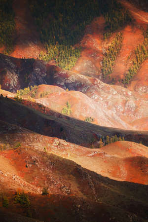 Colorful autumn mountains with sunlight at sunset. Altai, Siberia, Russia. Abstract autumn nature backgroundの写真素材