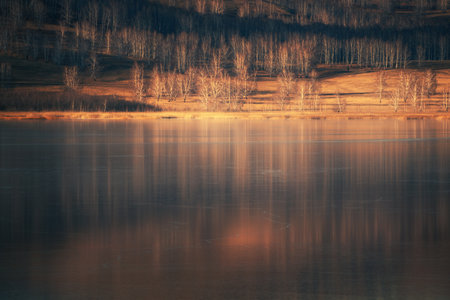 Yellow autumn forest with reflections in the ice surface of the frozen lake. Beautiful autumn landscape.の写真素材