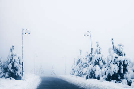 Road in the snow-covered mountains in misty morning. Beautiful snow-covered forest, winter...