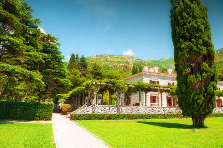 Beautiful garden with green decorative plants and trees. Summer landscape, view of the mountains and sky. Montenegroの写真素材