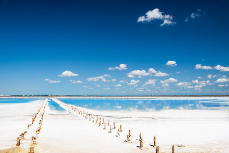 Salt industry on Sasyk-Sivash salt lake in Crimea. White saline surface and blue sky with clouds. Summer landscapeの素材 [FY310169821829]