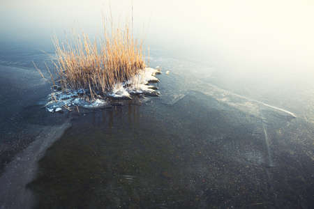 Ice on the frozen lake at sunrise. Frosted reeds on the icy surface of the lake. Beautiful winter natureの写真素材