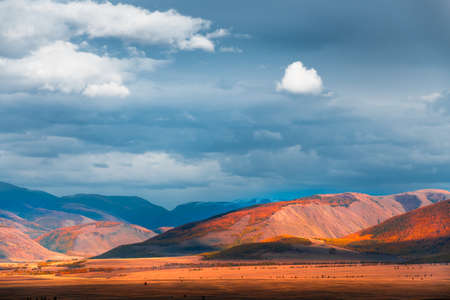 Yellow autumn mountains and the blue sky with clouds at sunset. Autumn landscape of Kurai steppe in Altai, Siberia, Russia.の写真素材