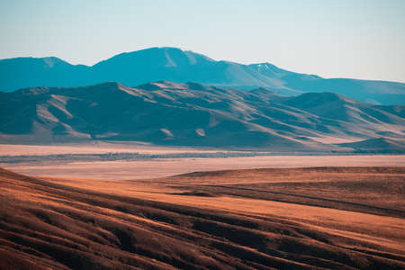 Yellow autumn mountains and the blue sky at sunrise. Autumn landscape of Kurai steppe in Altai, Siberia, Russia.の写真素材