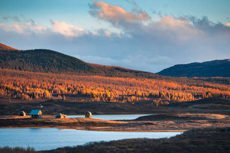 Lake with yellow autumn forest in Ulagan highlands in Altai, Siberia, Russia. Beautiful autumn landscape at sunsetの写真素材