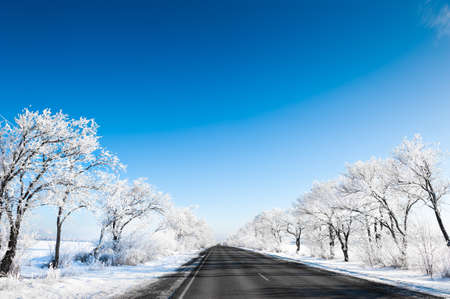 Winter road with frosted trees and the blue sky. Beautiful winter landscape.の写真素材