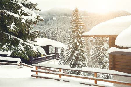Snow-covered trees and houses in Alps mountains. Carezza village, Dolomites Alps, Italy. Beautiful...