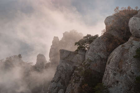 Foggy sunset in the mountains. Beautiful autumn landscape. Demerdji national reserve, Crimea.の写真素材