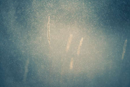 Autumn grass during the rain on the forest meadow at sunset. Macro image, shallow depth of field. Abstract autumn nature background.の写真素材